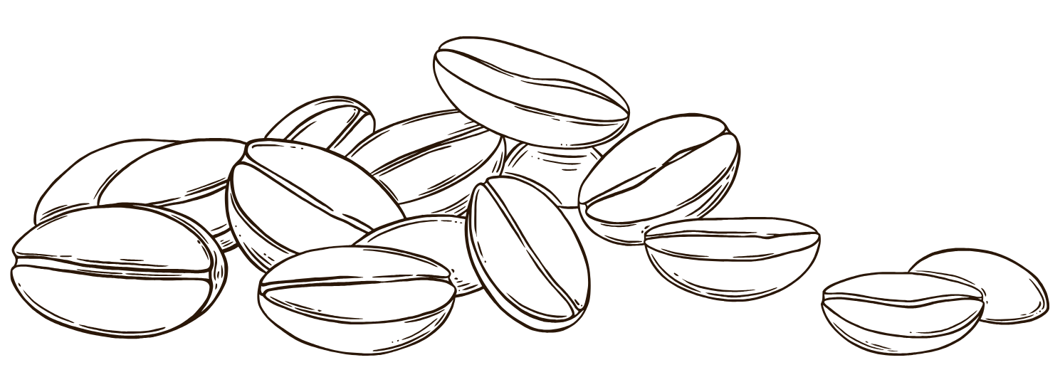 Coffee Beans Divider